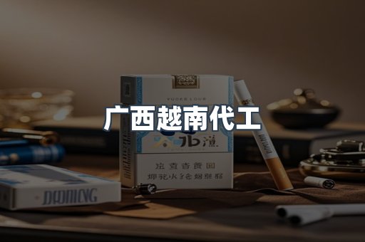 广西越南代工